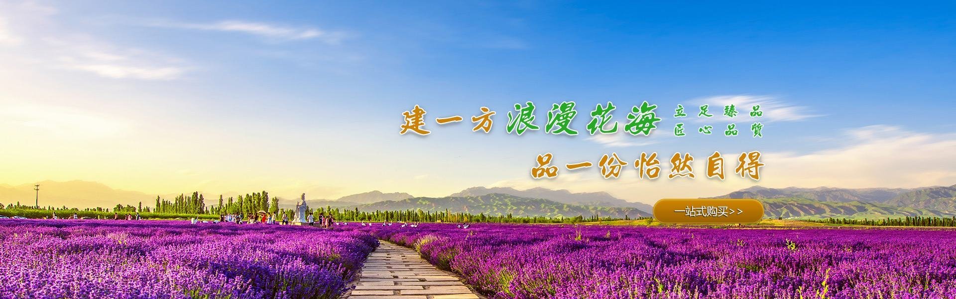 轮播图3